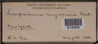 Image Associated With the Occurence